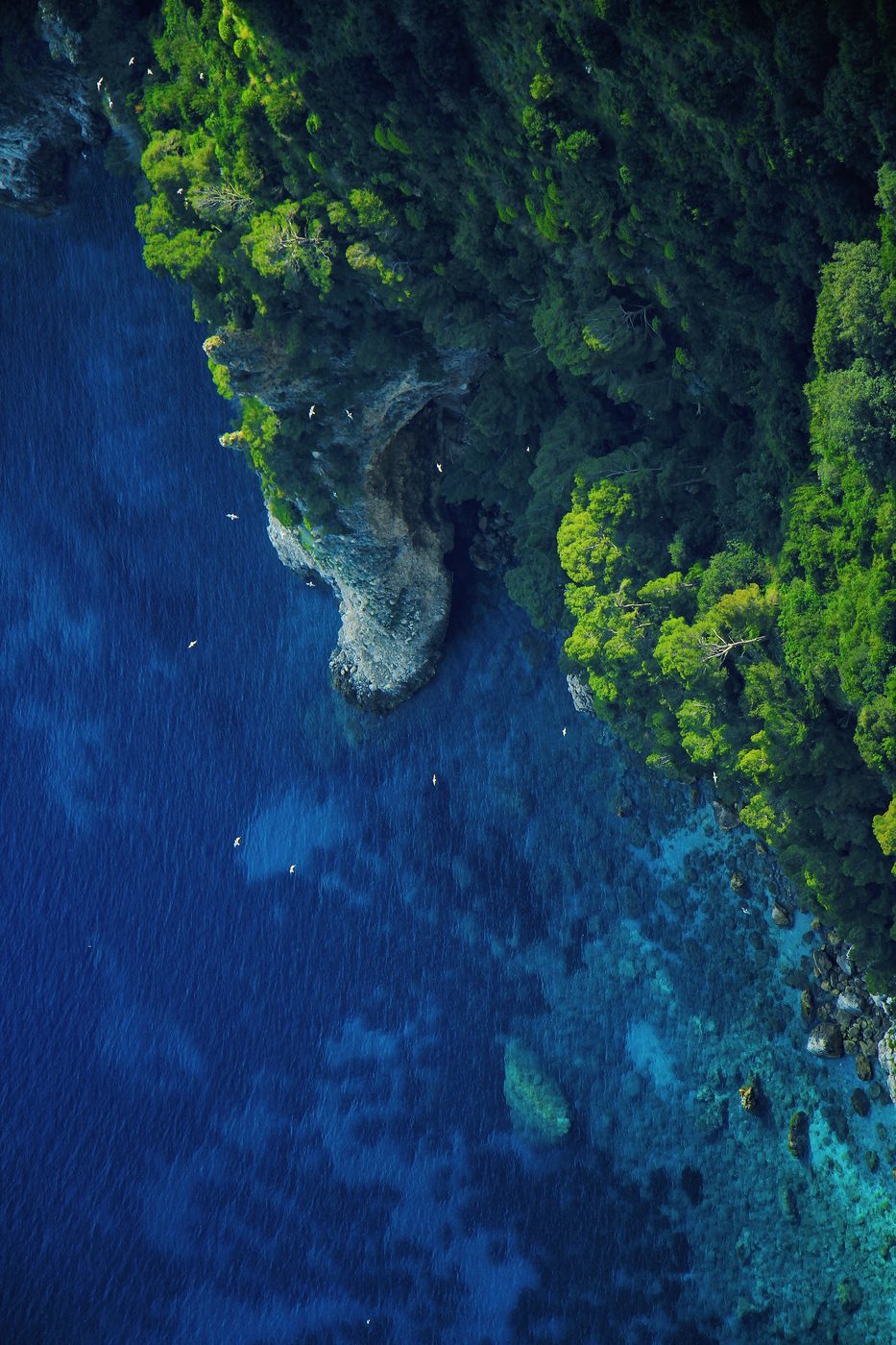 A green headland dropping into deep blue sea, seen from above