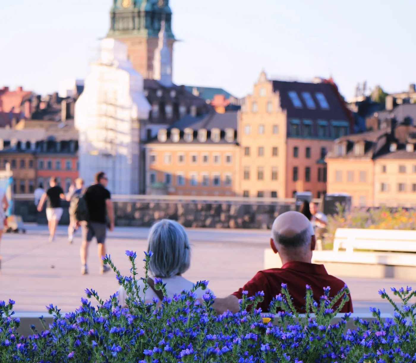 People sitting on a waterfront square in the evening sun, blue flowers in front, a church tower behind