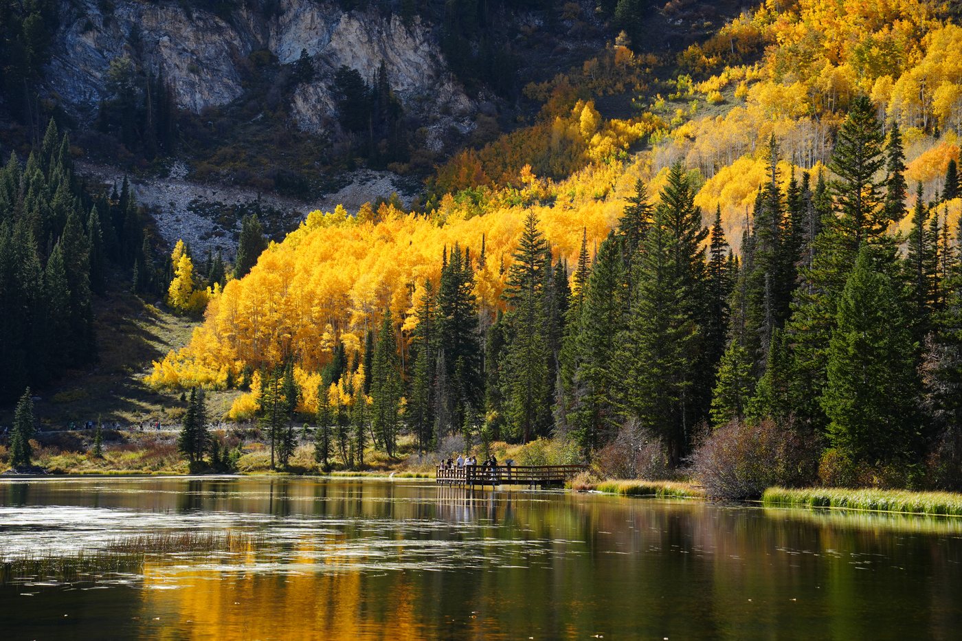 Golden aspens and dark pines above a still mountain lake, a small wooden dock with people on it